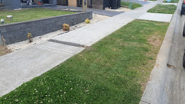 How Often Should You Mow Your Lawn? A Complete Guide