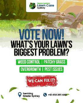 Green Lantern Lawn Care & Handyman Sydney