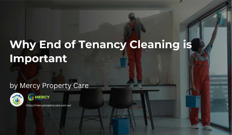 Why End of Tenancy Cleaning is Important