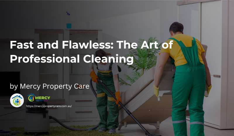 Fast and Flawless: The Art of Professional Cleaning