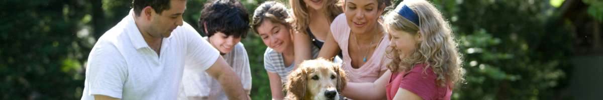 Life Insurance4u Banner