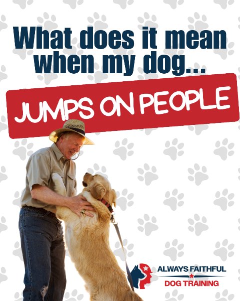 Turning Overexcited Greetings into Calm Hellos