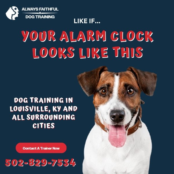 When Your Alarm Clock Has Four Paws