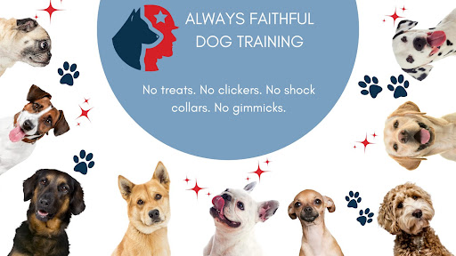 Keeping Your Dog Calm This Holiday Season