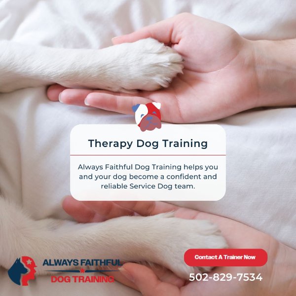 Training Your Own Service Dog: Building a Reliable Partner for Daily Life