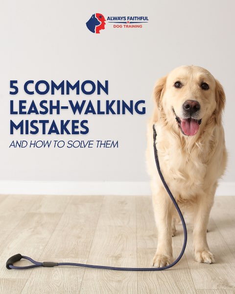 5 Common Leash-Walking Mistakes (and How Leadership-Based Training Solves Them)
