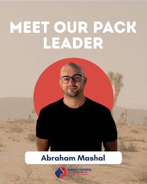 Meet the Pack Leader: The Heart Behind Always Faithful Dogs
