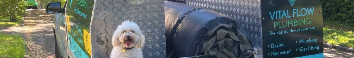 Vital Flow Plumbing Services Banner