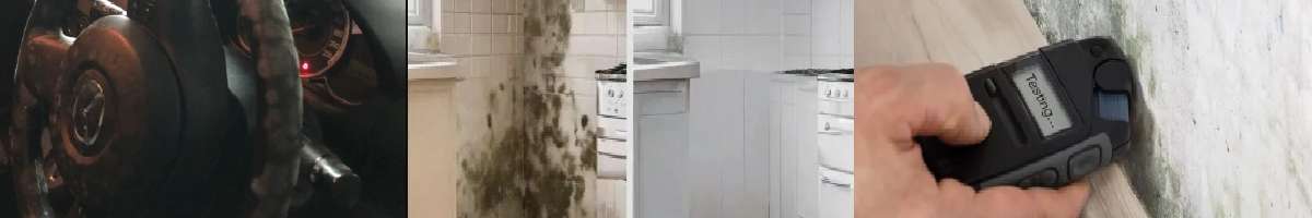 Mould Doctors Banner