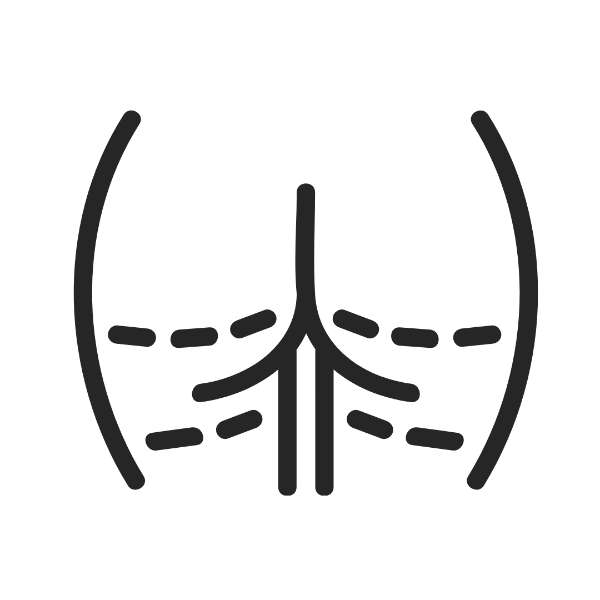 Buttocks Reduction and Recontouring