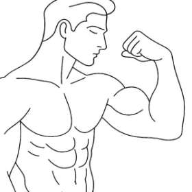 Bicep and tricelp Implants