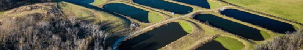 Algae Control Australia Banner