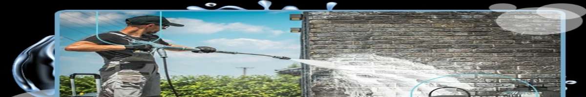 Elite Property Northern Beaches Banner