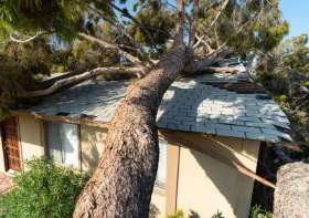 Storm Damage & Insurance Claims