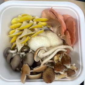 Gourmet Mushroom Medley