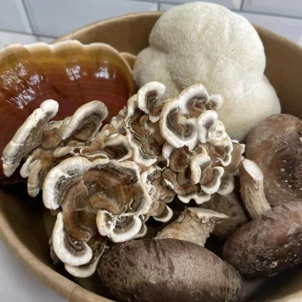 Functional Mushroom Medley