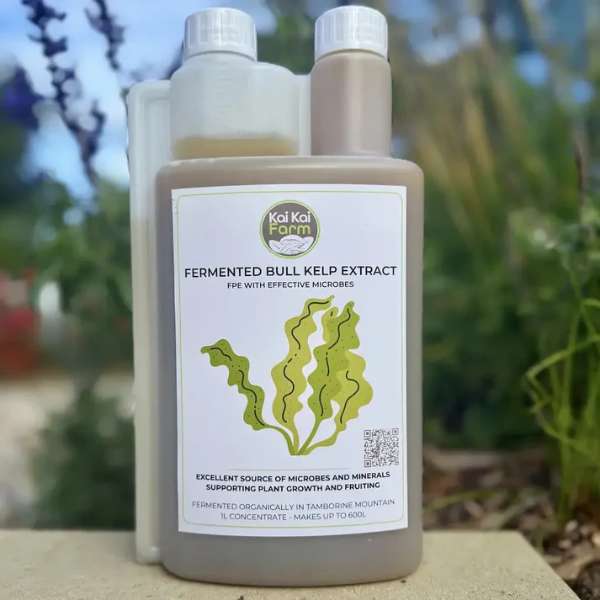 Fermented Organic Seaweed Extract