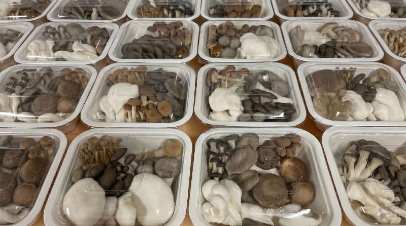 Where to Buy Fresh Gourmet Mushrooms Online in Australia (2026 Guide)