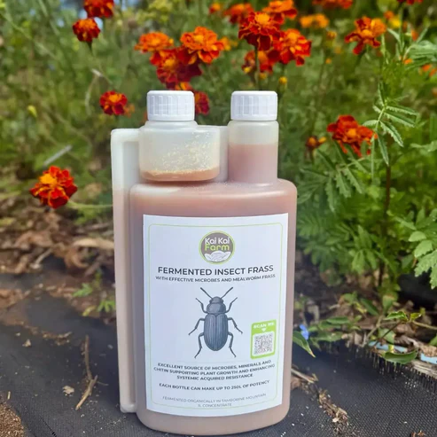 Fermented Insect Frass Extract – Bio-Inoculant & Plant Immunity Booster