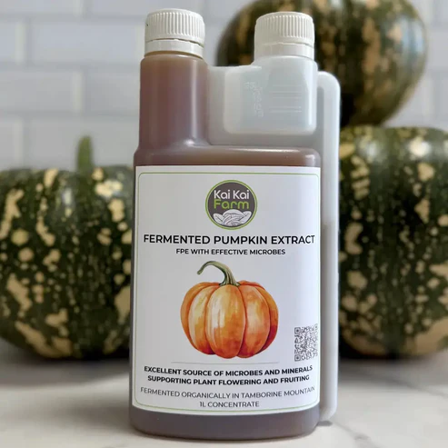Fermented Organic Pumpkin Extract