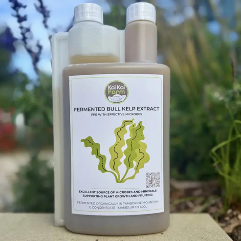Fermented Organic Seaweed Extract
