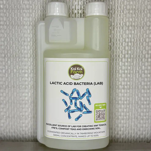 Lactic Acid Bacteria (LAB) Serum