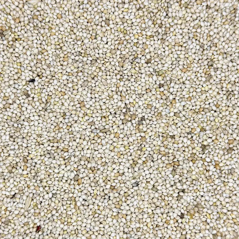 Unhulled Millet Grain for Mushroom Spawn — Bulk Pricing Available