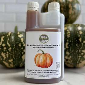 Fermented Organic Pumpkin Extract