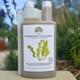 Fermented Organic Seaweed Extract