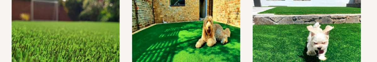 Evergreen Turf Supply Banner