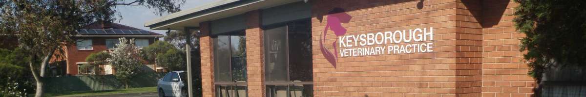 Keysborough Veterinary Practice Banner