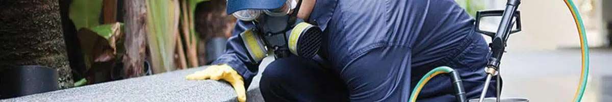 Pest Control Brisbane | Tom's Pest Control Brisbane Banner