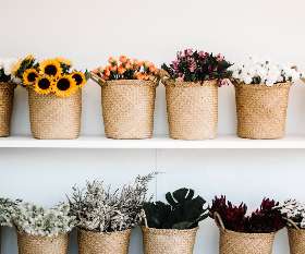 Florist Amanda