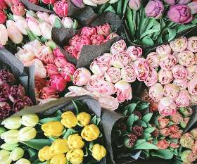 Florist Amanda