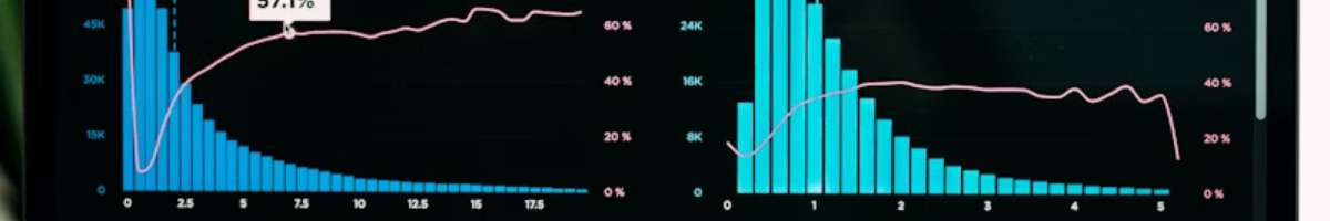 Elite SEO Agency Los Angeles Banner