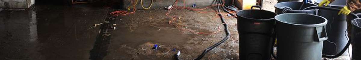 Water Damage Rockhampton Banner