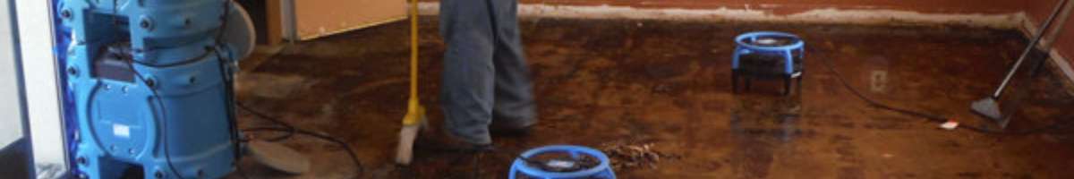 Water Damage Ballarat Banner