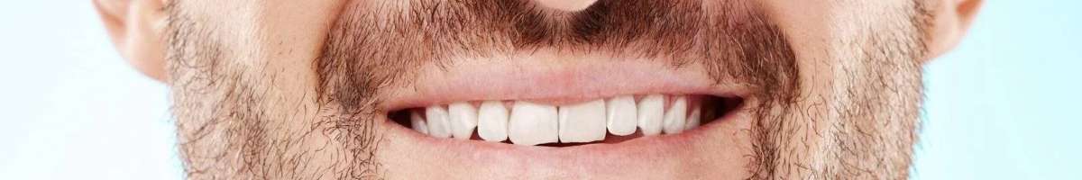 Potter Dental Banner