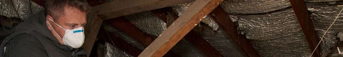 Pest Inspection Adelaide Banner