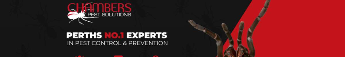 Termite Control Perth - Chambers Pest Solutions Banner
