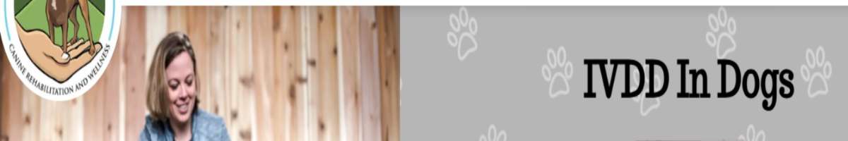 Canine PT and Me Banner