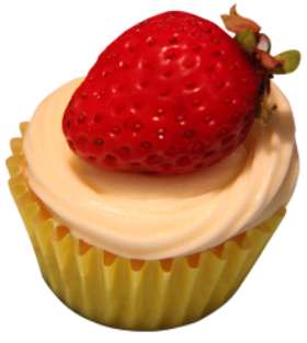 The Cupcake Kitchen Sydney