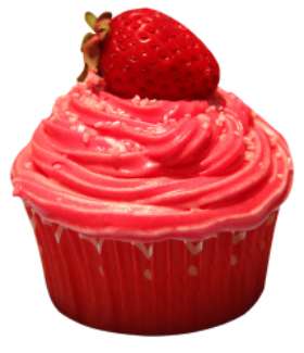 The Cupcake Kitchen Sydney