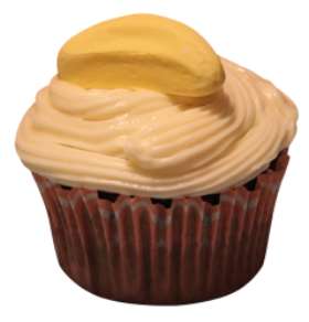 The Cupcake Kitchen Sydney