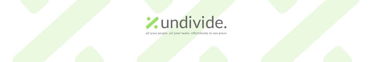 Undivide Banner