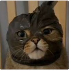 Richmond Rush cafe Logo