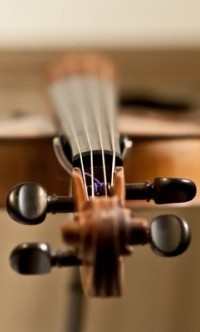 Tips Before Buying Any Musical Instrument