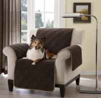 Protecting your furniture from pets