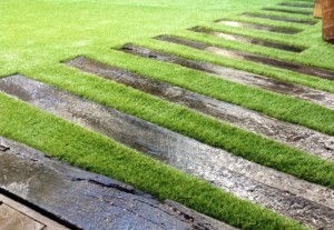 The Pros and Cons of Choosing Artificial Lawn Over The Real Thing