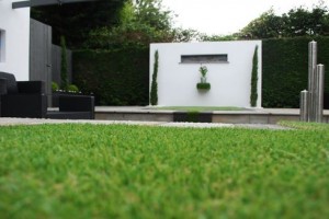 Artificial Grass: Uses and Applications
